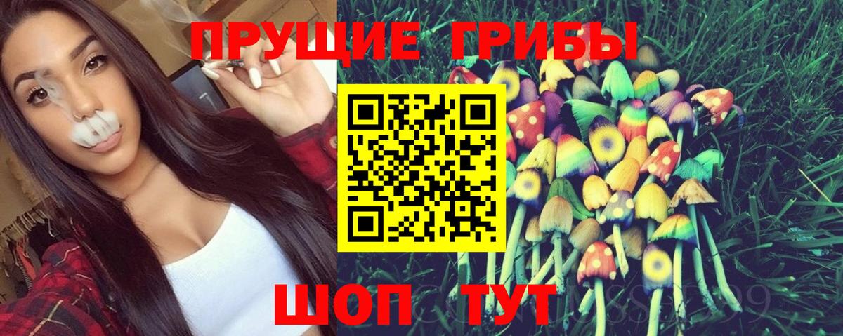 Галлюциногенные грибы Psilocybine cubensis  купить закладку  Псилоцибиновые грибы мухоморы  Шебекино  Вход с VPN 